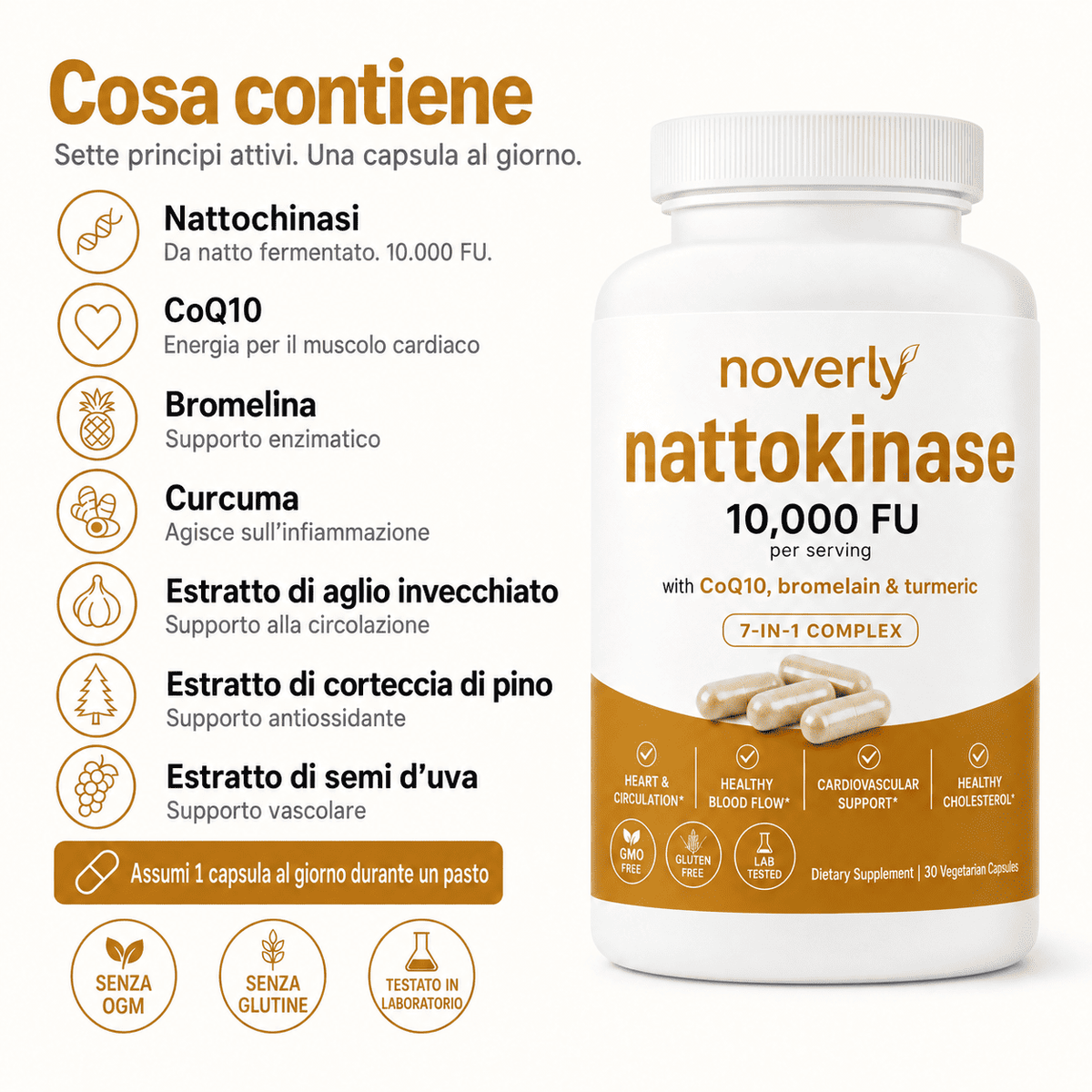 Nattokinasi alla massima potenza 10.000 FU — Supporto per la circolazione
