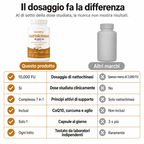 Nattokinasi alla massima potenza 10.000 FU — Supporto per la circolazione